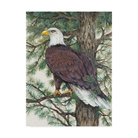 Tim Otoole 'Eagle In The Pine' Canvas Art,14x19